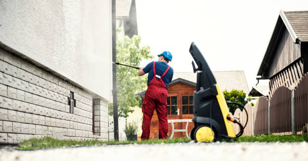 Best Sidewalk and Walkway Cleaning  in Wenona, IL